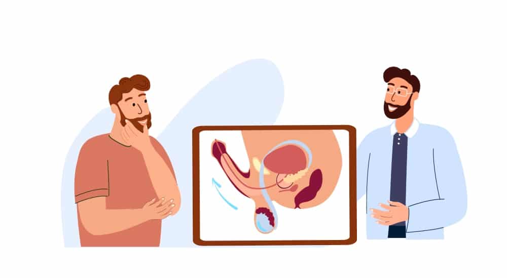 Ako masáž prostaty ovplyvňuje erekciu?