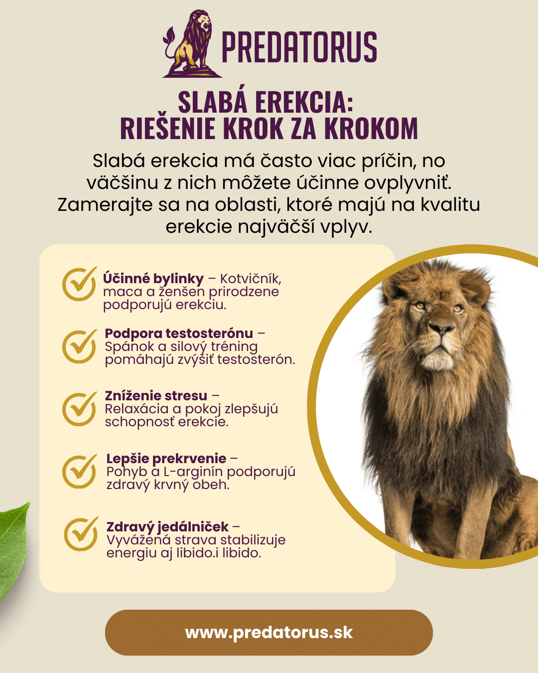 Infografika: Ako zlepšiť slabú erekciu