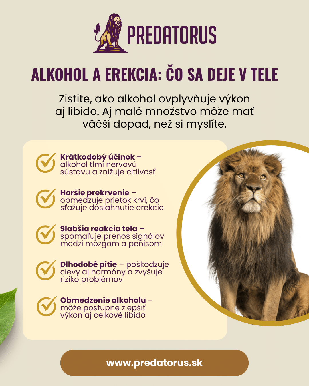 Infografika: Ako alkohol ovplyvňuje erekciu krok za krokom